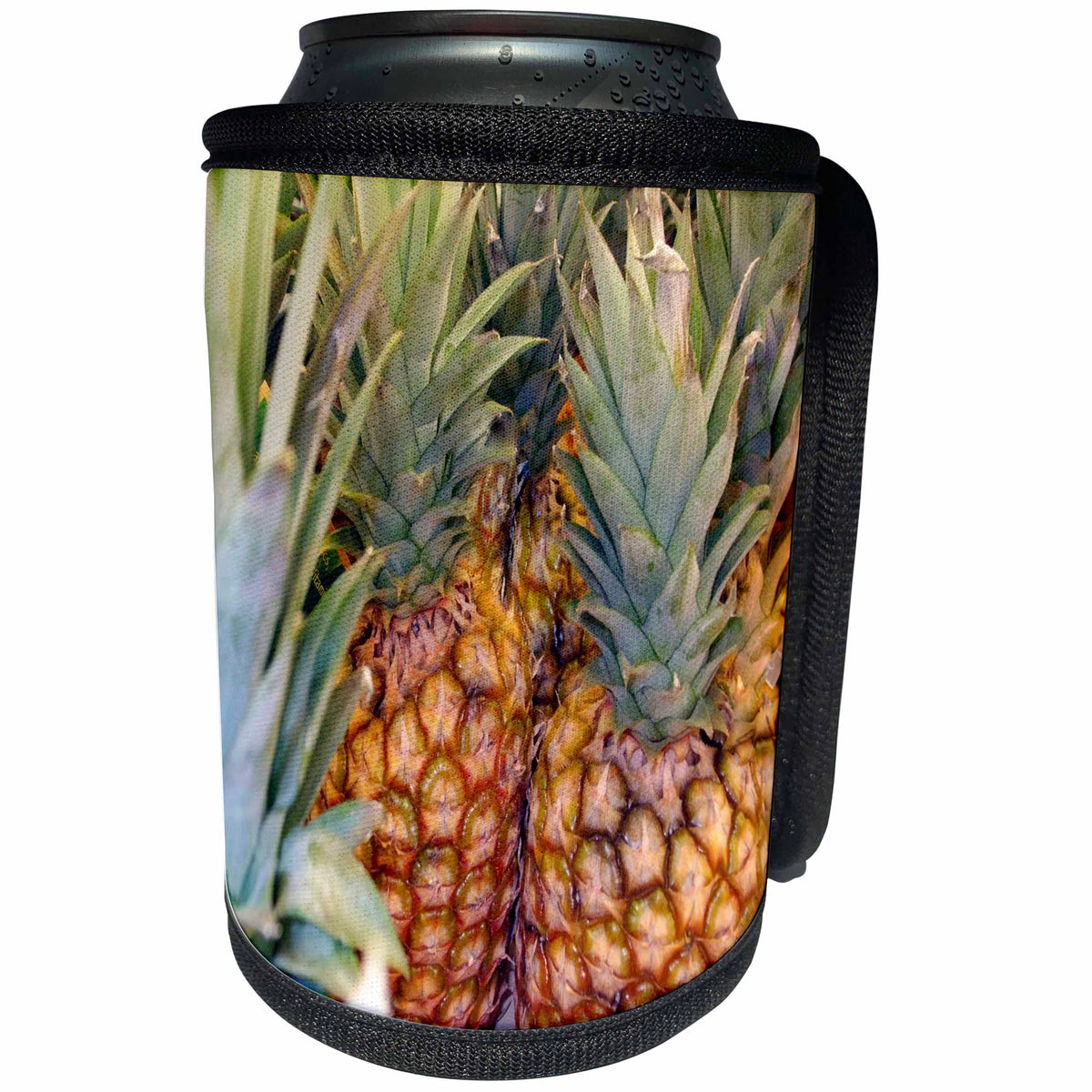 3dRose Anne Marie Baugh - Photography - Photograph Of A Bunch Of Pineapples - Can Cooler Bottle Wrap (cc_251733)