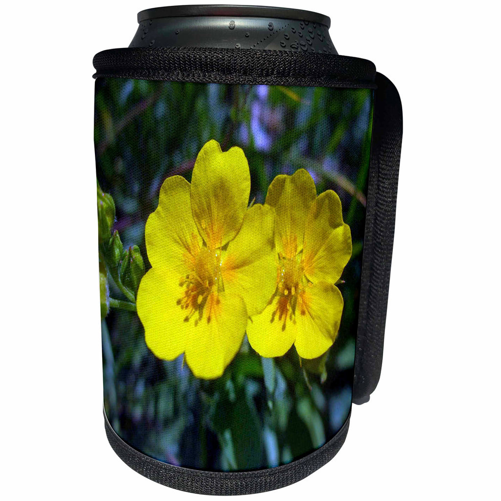 3dRose Anne Marie Baugh - Photography - Pretty Yellow Wild Flowers Photograph - Can Cooler Bottle Wrap (cc_251737)