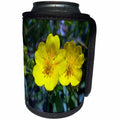 3dRose Anne Marie Baugh - Photography - Pretty Yellow Wild Flowers Photograph - Can Cooler Bottle Wrap (cc_251737)