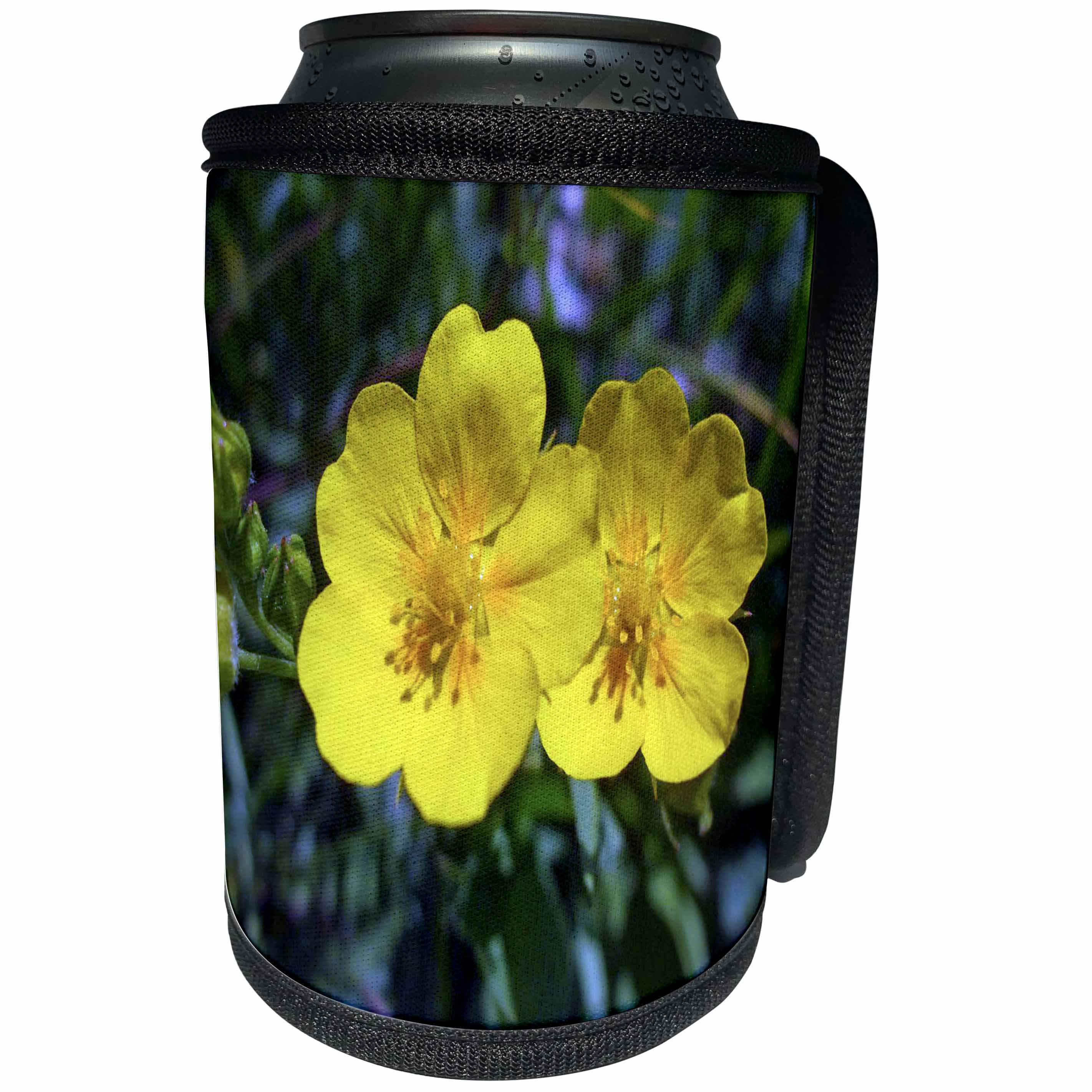 3dRose Anne Marie Baugh - Photography - Pretty Yellow Wild Flowers Photograph - Can Cooler Bottle Wrap (cc_251737)