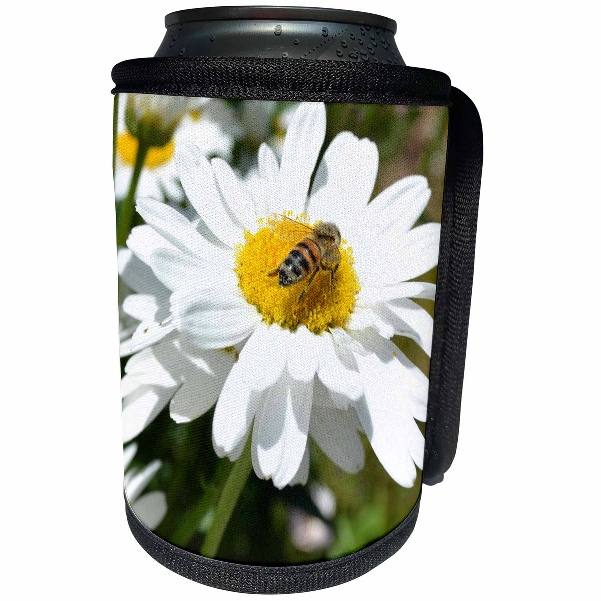 3dRose Patricia Sanders Flowers - Daisy and Bee II - Can Cooler Bottle Wrap (cc_25174)