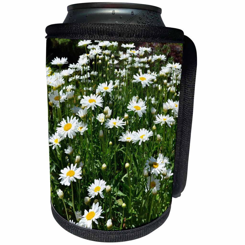 3dRose Patricia Sanders Flowers - Daisy Field - Can Cooler Bottle Wrap (cc_25186)