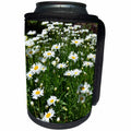 3dRose Patricia Sanders Flowers - Daisy Field - Can Cooler Bottle Wrap (cc_25186)