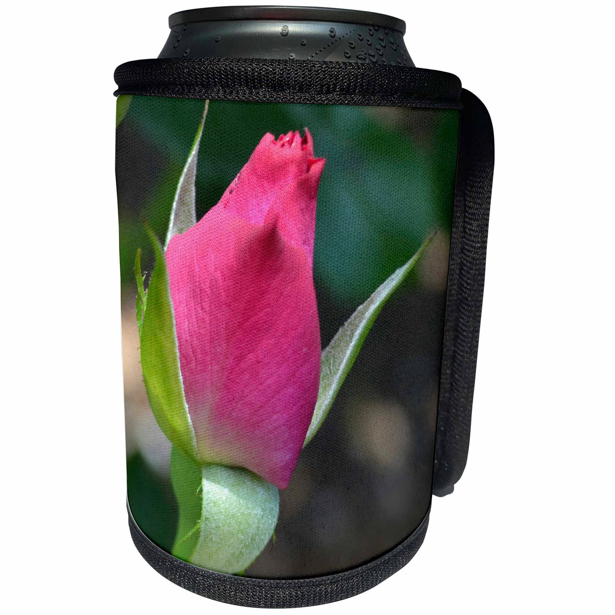 3dRose Patricia Sanders Flowers - Romantic Rose Bud - Can Cooler Bottle Wrap (cc_25189)