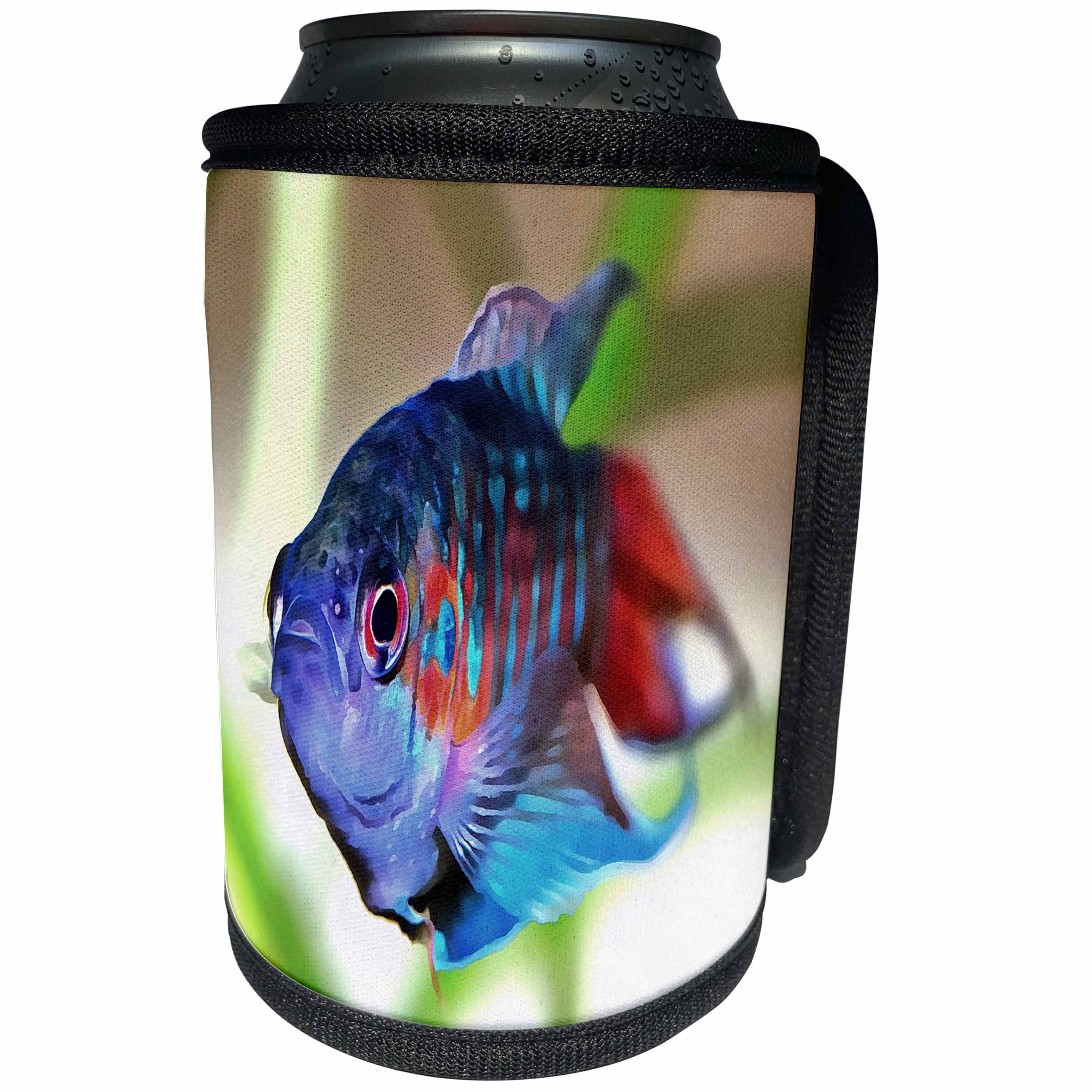 3dRose Taiche - Acrylic Painting - Fish - Macropodus opercularis – Paradise Fish - Can Cooler Bottle Wrap (cc_251984)