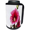 3dRose Taiche - Acrylic Painting - Hollyhock - Pink Hollyhock - Can Cooler Bottle Wrap (cc_251986)