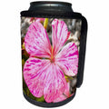 3dRose Taiche - Acrylic Painting - Begonia - Variegated Begonia Pink Petals - Can Cooler Bottle Wrap (cc_251995)