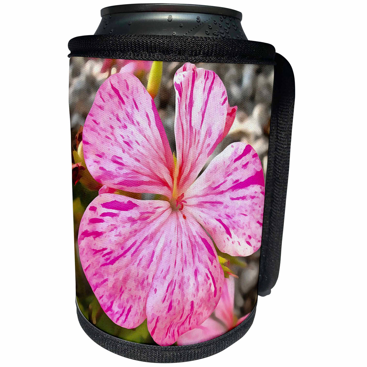 3dRose Taiche - Acrylic Painting - Begonia - Variegated Begonia Pink Petals - Can Cooler Bottle Wrap (cc_251995)