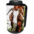3dRose Taiche - Acrylic Painting - Goat - Whimsical Portrait Horned Goat - Can Cooler Bottle Wrap (cc_252003)