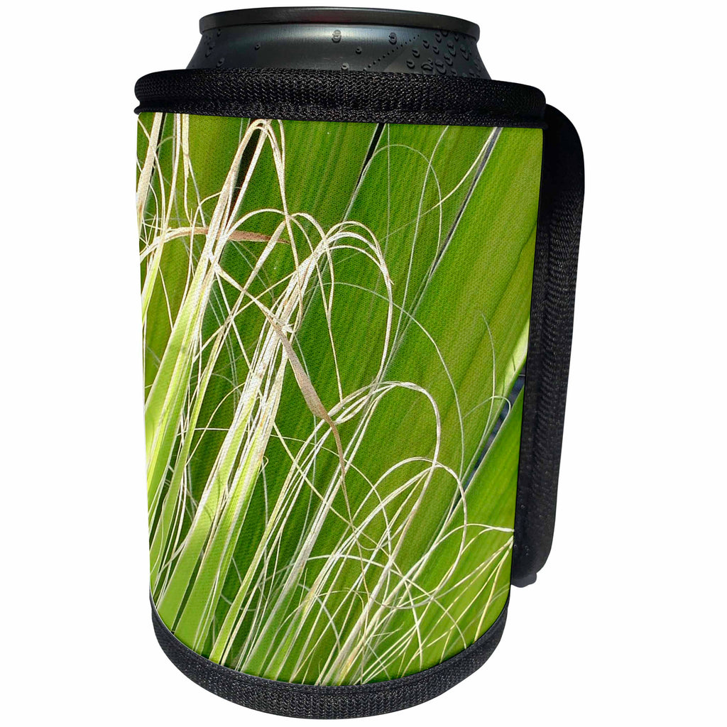 3dRose Taiche - Photography - Palms - Palm Fan Art - Can Cooler Bottle Wrap (cc_252004)