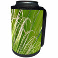 3dRose Taiche - Photography - Palms - Palm Fan Art - Can Cooler Bottle Wrap (cc_252004)