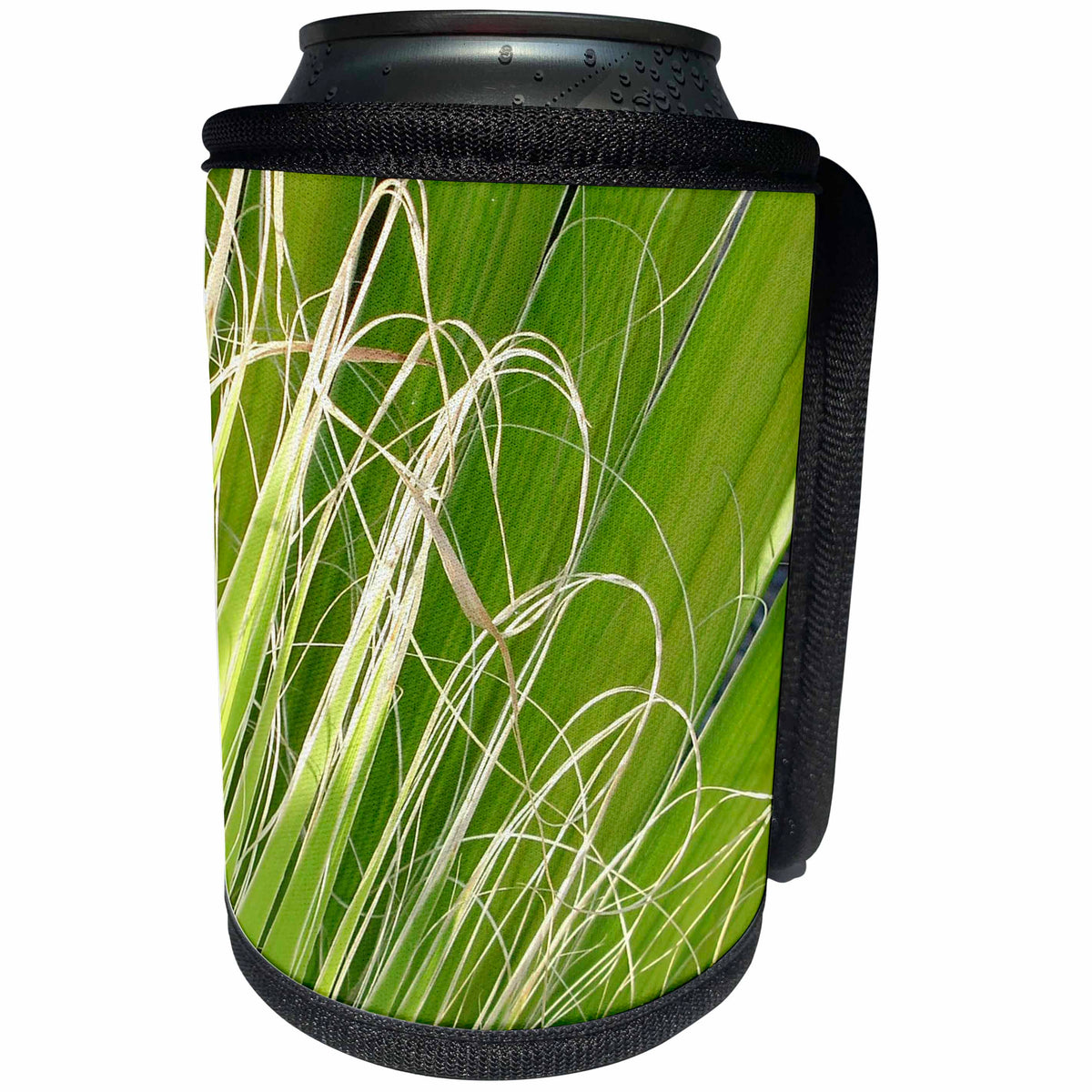 3dRose Taiche - Photography - Palms - Palm Fan Art - Can Cooler Bottle Wrap (cc_252004)