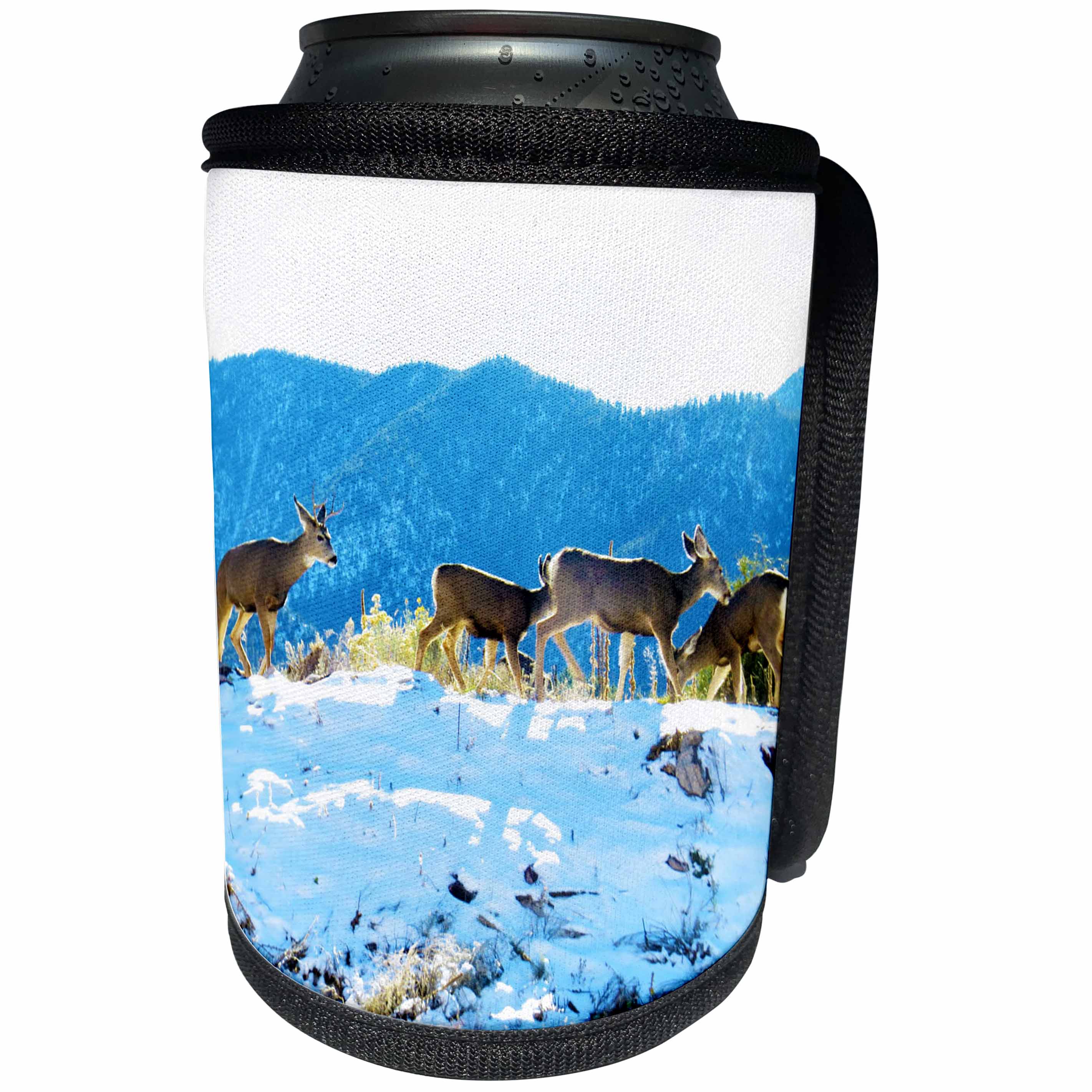 3dRose Jos Fauxtographee- Deer - Four Deer standing in the sunlight on top of a hill in Pine Valley - Can Cooler Bottle Wrap (cc_252017)