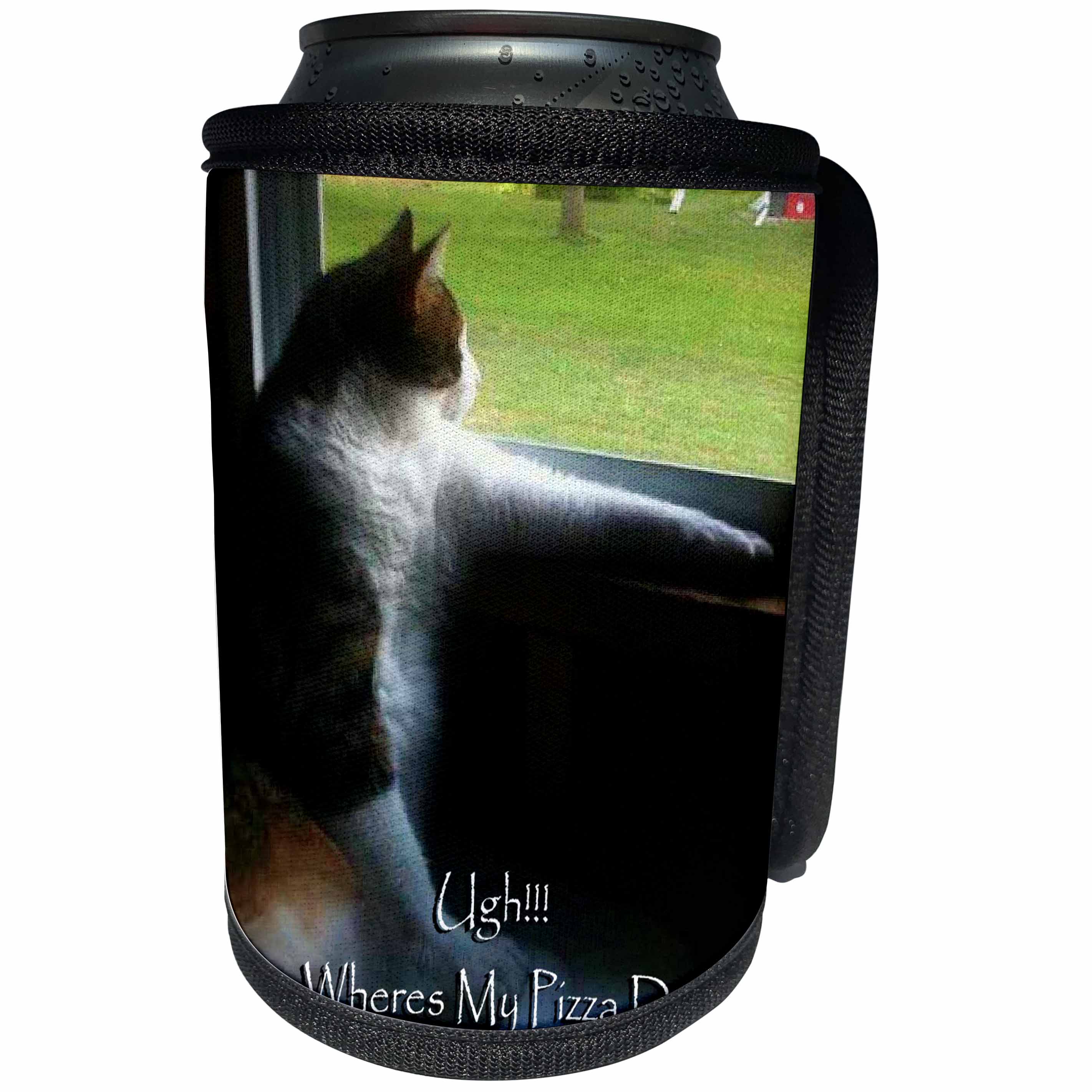 3dRose Edmond Hogge Jr Cats - Calico Kitty Pizza Delivery - Can Cooler Bottle Wrap (cc_25214)