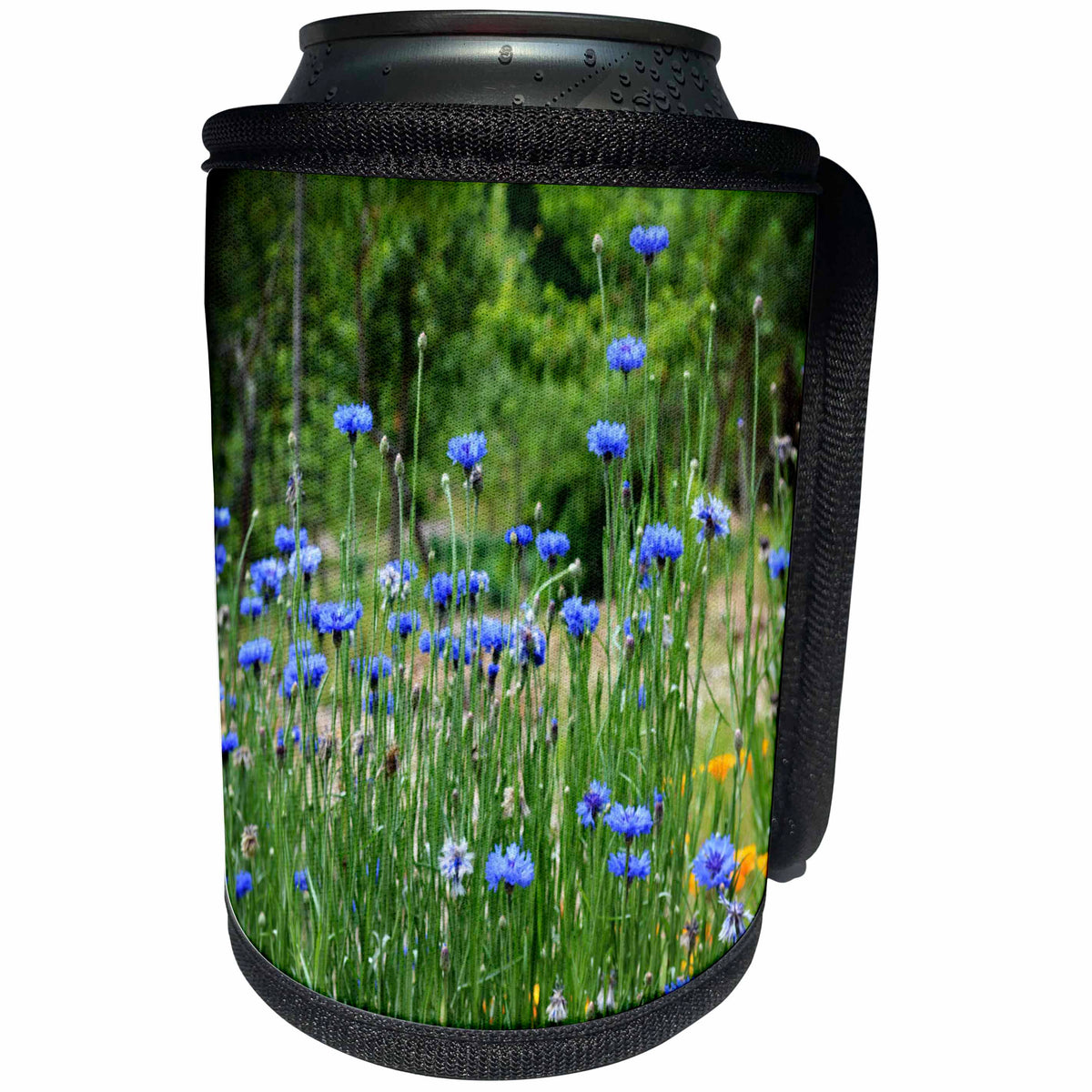 3dRose WhiteOaks Photography and Artwork - Flowers - Field of blue is a photo of a bunch of blue flowers in a field - Can Cooler Bottle Wrap (cc_252492)