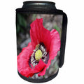 3dRose WhiteOaks Photography and Artwork - Poppy Flowers - Home is where the nectar is a photo of a bee inside a poppy flower - Can Cooler Bottle Wrap (cc_252494)