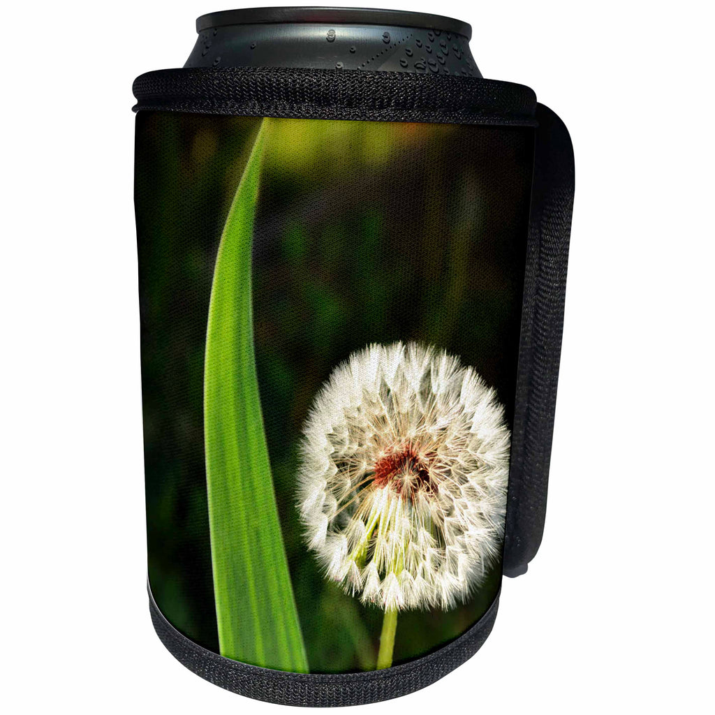 3dRose WhiteOaks Photography and Artwork - Flowers - Magic Dandelion Puff is a photo of a dandelion puff ball - Can Cooler Bottle Wrap (cc_252496)