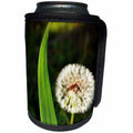 3dRose WhiteOaks Photography and Artwork - Flowers - Magic Dandelion Puff is a photo of a dandelion puff ball - Can Cooler Bottle Wrap (cc_252496)