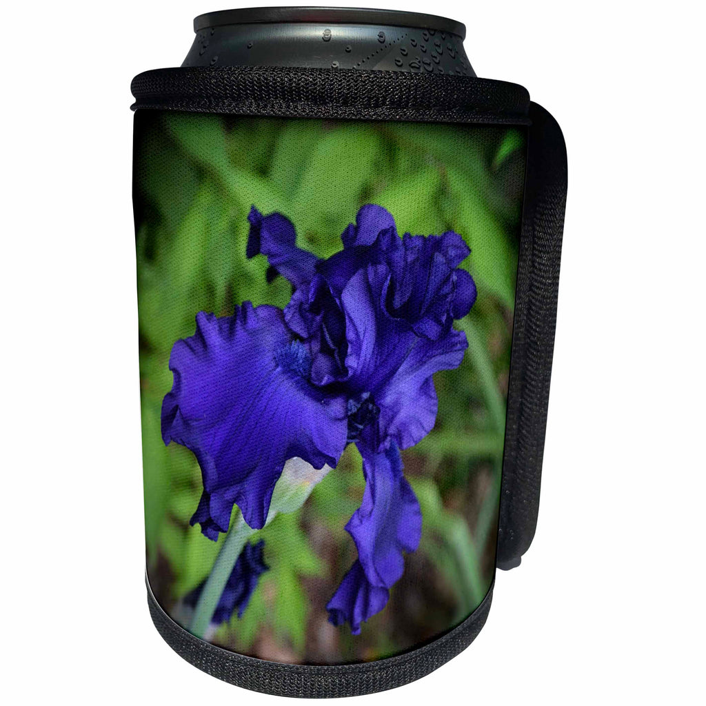 3dRose WhiteOaks Photography and Artwork - Iris Flowers - Royal Blue at its Best is a deep blue iris flower - Can Cooler Bottle Wrap (cc_252499)