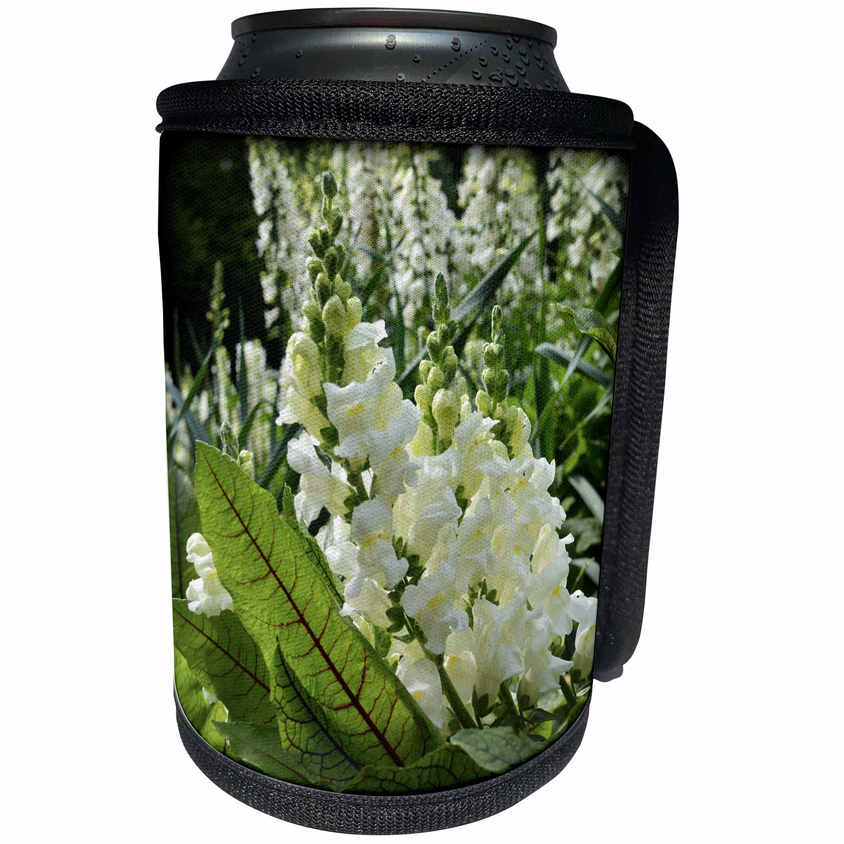 3dRose WhiteOaks Photography and Artwork - Snapdragon - Snapdragon Beauty is a photo of beautiful white snapdragon flowers - Can Cooler Bottle Wrap (cc_252500)