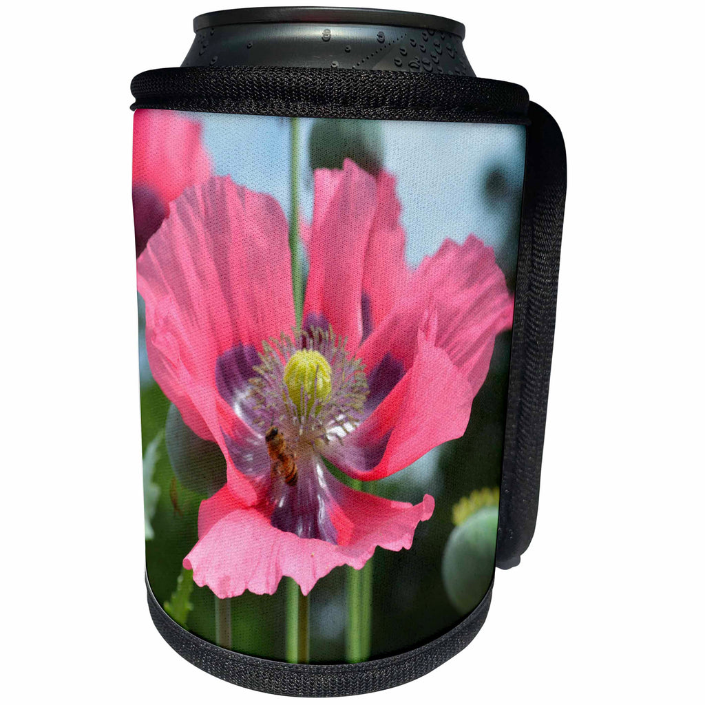 3dRose WhiteOaks Photography and Artwork - Poppy Flowers - The Bee and The Poppy is a photo of bee inside a poppy flower - Can Cooler Bottle Wrap (cc_252501)