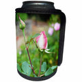 3dRose WhiteOaks Photography and Artwork - Roses - Two Rose Buds on one Branch is beautiful antique looking rose buds - Can Cooler Bottle Wrap (cc_252502)