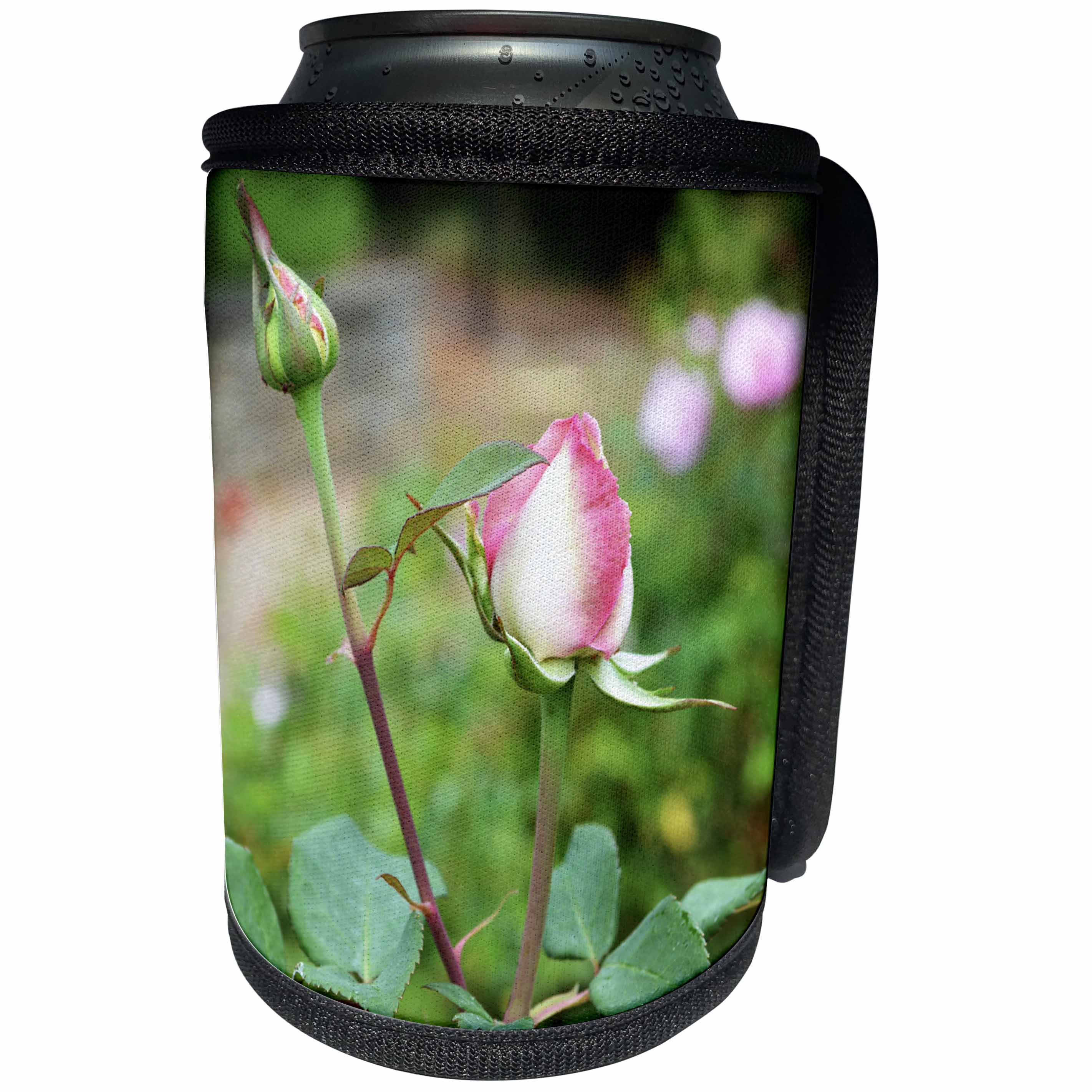 3dRose WhiteOaks Photography and Artwork - Roses - Two Rose Buds on one Branch is beautiful antique looking rose buds - Can Cooler Bottle Wrap (cc_252502)
