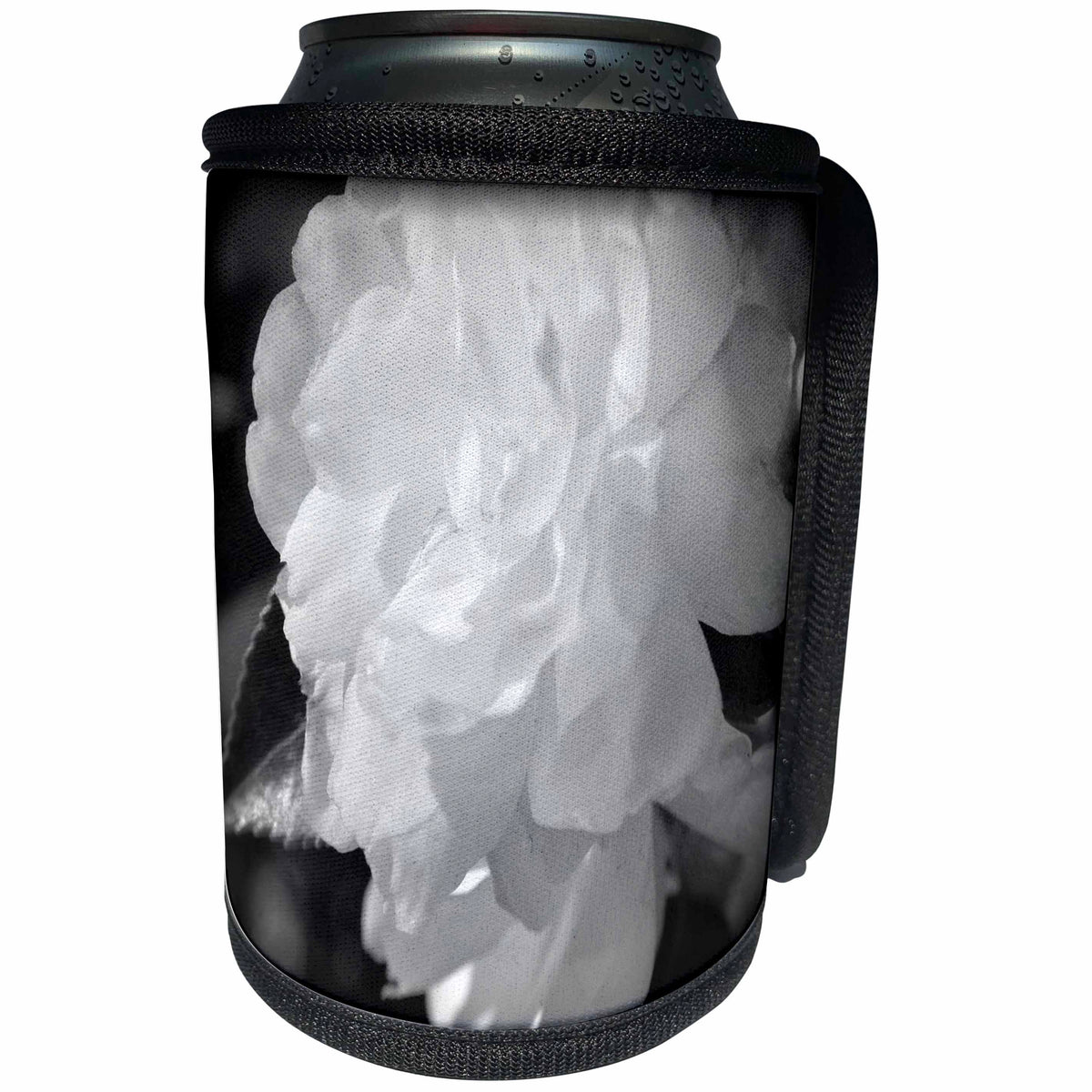 3dRose WhiteOaks Photography and Artwork - Camellia Flower - Black and White Camellia is a black and white photo of a camellia - Can Cooler Bottle Wrap (cc_252511)