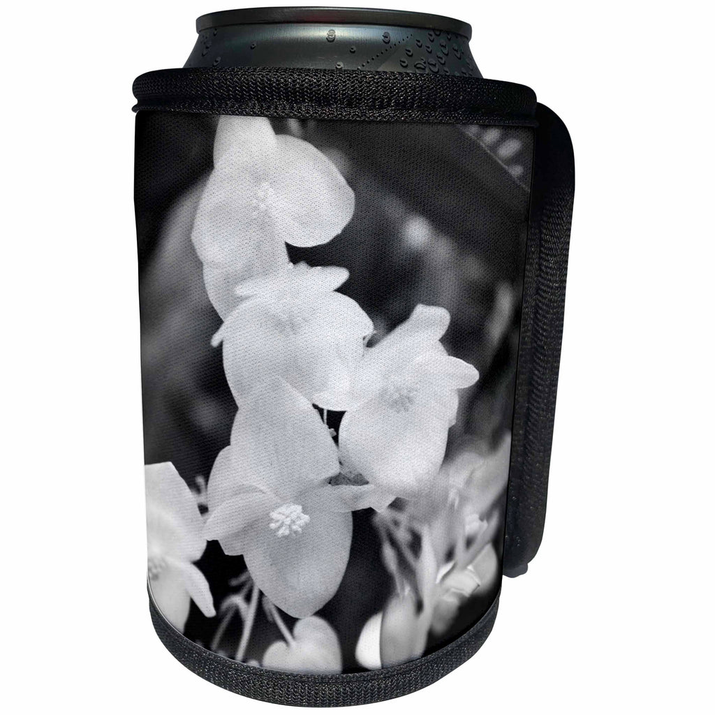 3dRose WhiteOaks Photography and Artwork - Black and White - Black and White Angel Wings is a photo of beautiful garden flowers - Can Cooler Bottle Wrap (cc_252514)