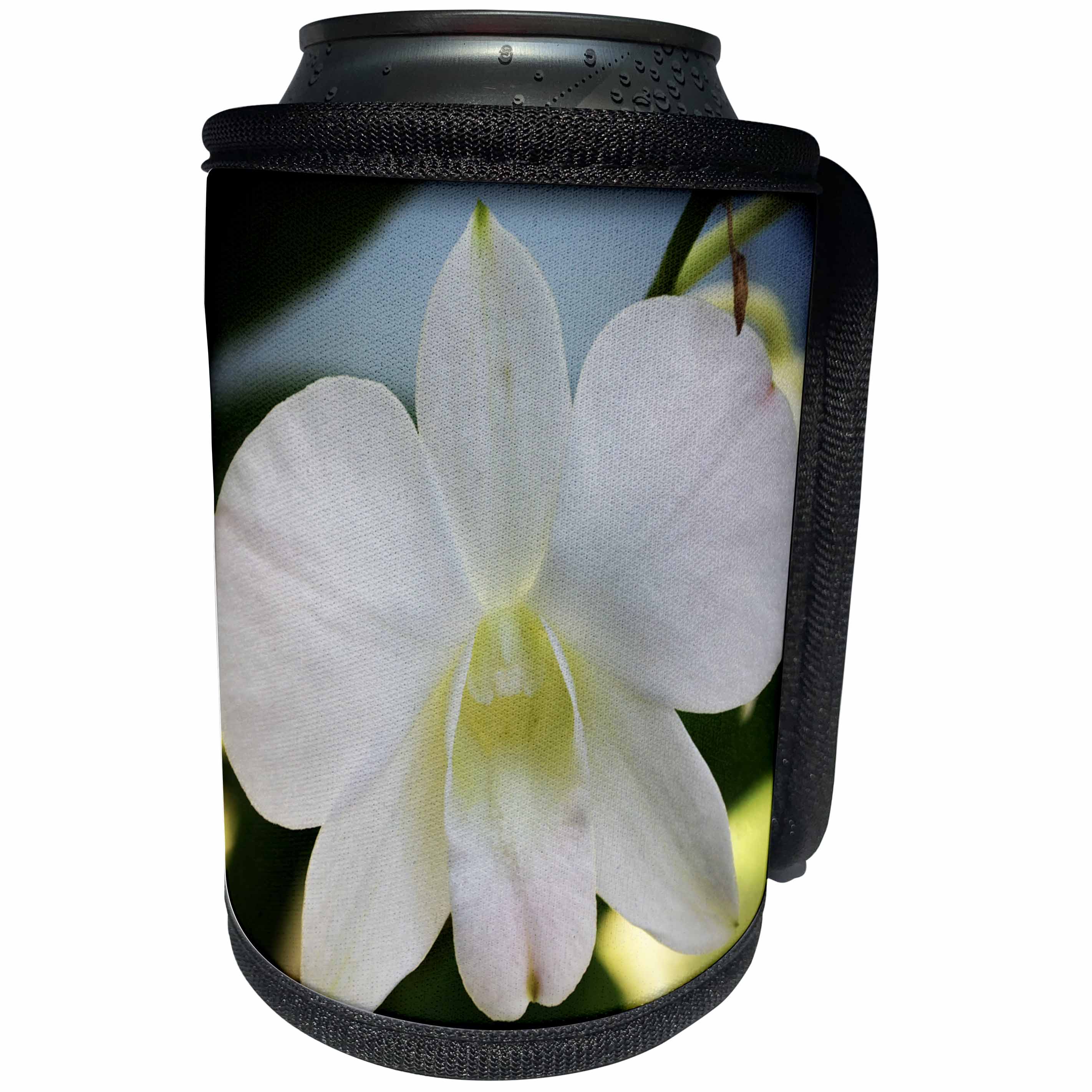 3dRose WhiteOaks Photography and Artwork - Orchid Flowers - White Orchids Blush is a beautiful white orchid with a touch of pink - Can Cooler Bottle Wrap (cc_252516)