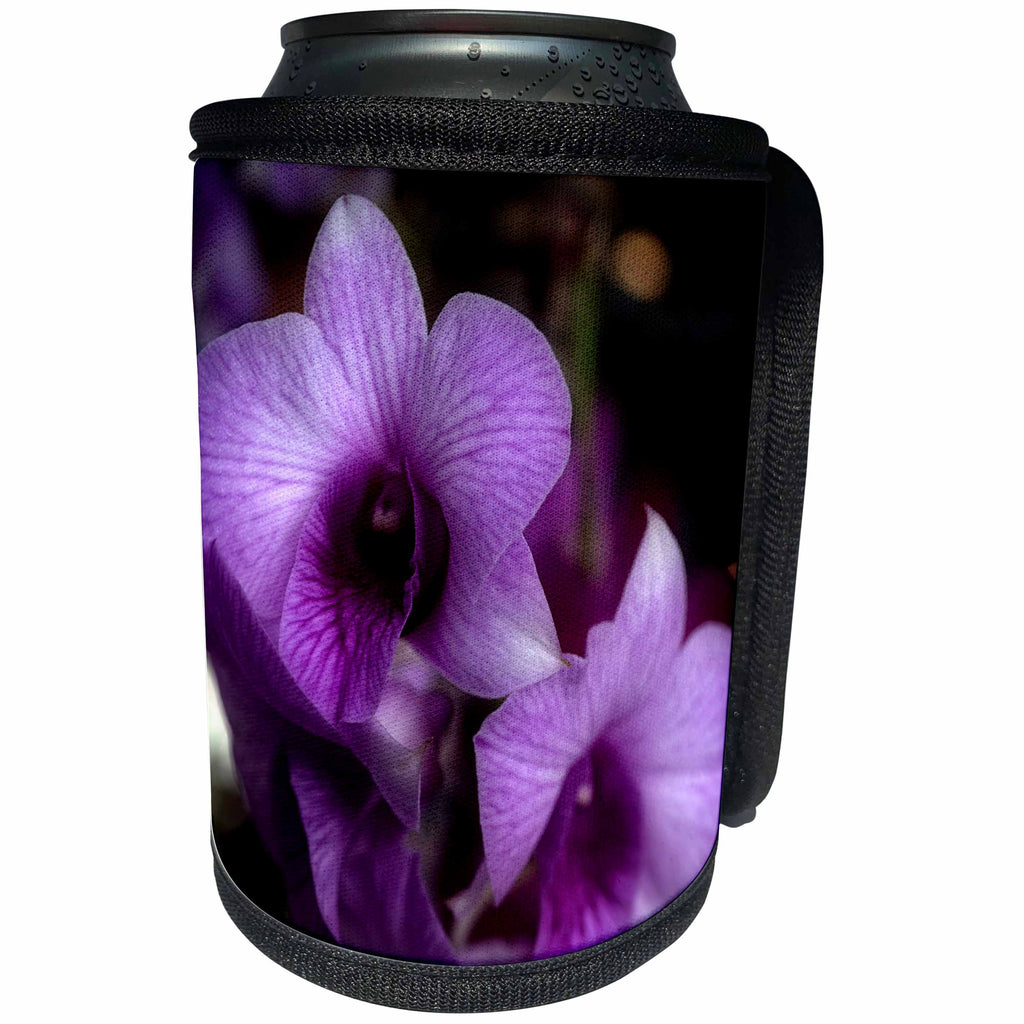 3dRose WhiteOaks Photography and Artwork - Orchid Flowers - Haunted Halo Glow is a photo of beautiful purple orchids - Can Cooler Bottle Wrap (cc_252517)