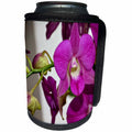 3dRose WhiteOaks Photography and Artwork - Orchid Flowers - Pink Ladies is a photo of beautiful tiny pink orchids - Can Cooler Bottle Wrap (cc_252518)