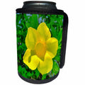3dRose Florene Flower - Sunbeam Pretty - Can Cooler Bottle Wrap (cc_25264)