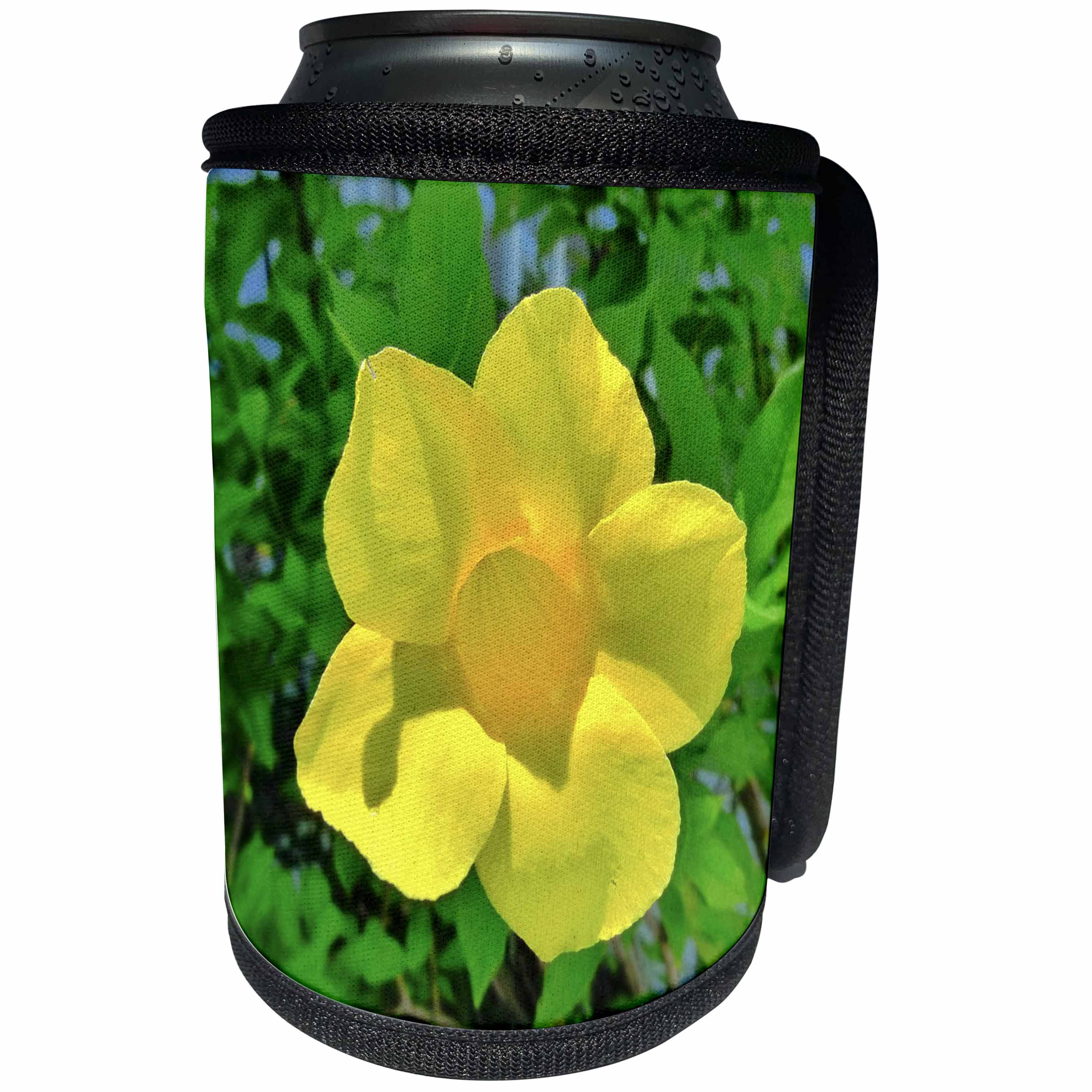 3dRose Florene Flower - Sunbeam Pretty - Can Cooler Bottle Wrap (cc_25264)