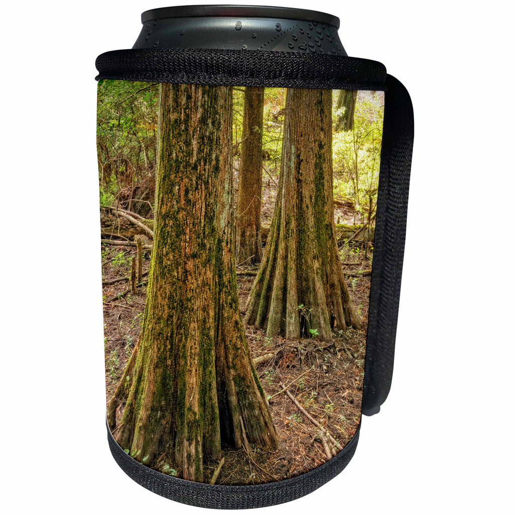 3dRose Boehm Photography Landscape - Bald Cypress and Forest Floor - Can Cooler Bottle Wrap (cc_253221)