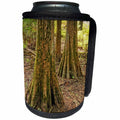 3dRose Boehm Photography Landscape - Bald Cypress and Forest Floor - Can Cooler Bottle Wrap (cc_253221)