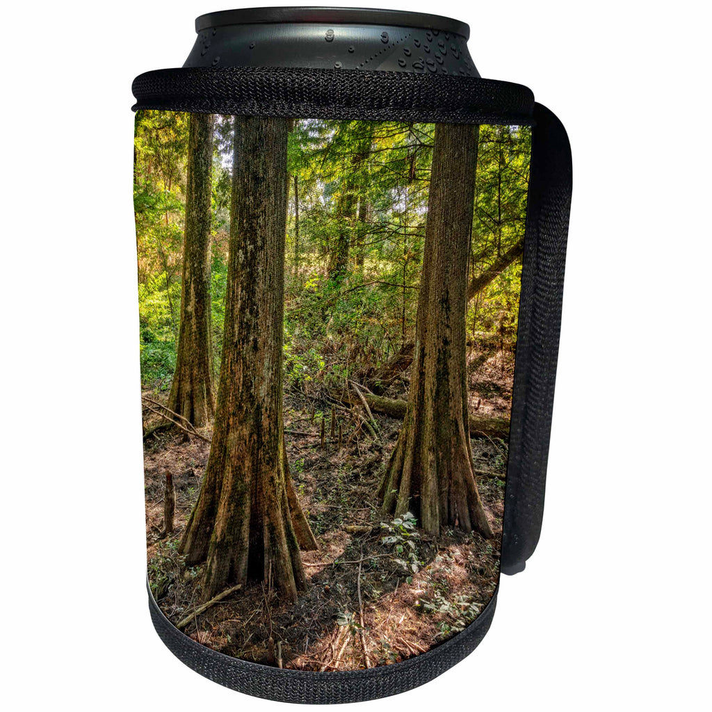 3dRose Boehm Photography Landscape - Bald Cypress Trio - Can Cooler Bottle Wrap (cc_253223)