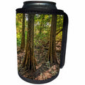 3dRose Boehm Photography Landscape - Bald Cypress Trio - Can Cooler Bottle Wrap (cc_253223)
