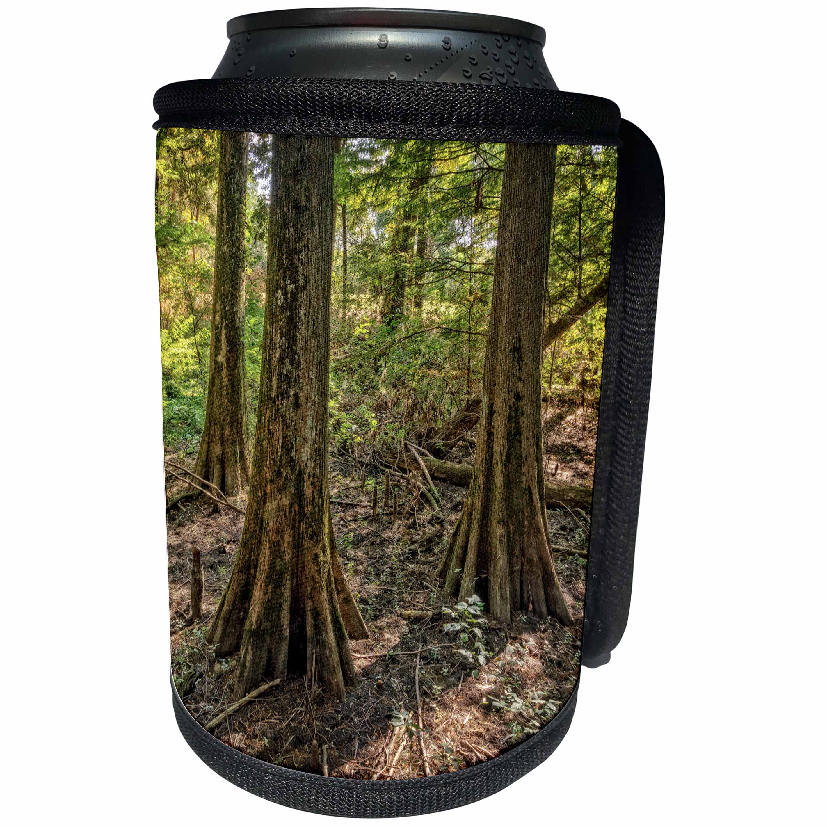 3dRose Boehm Photography Landscape - Bald Cypress Trio - Can Cooler Bottle Wrap (cc_253223)