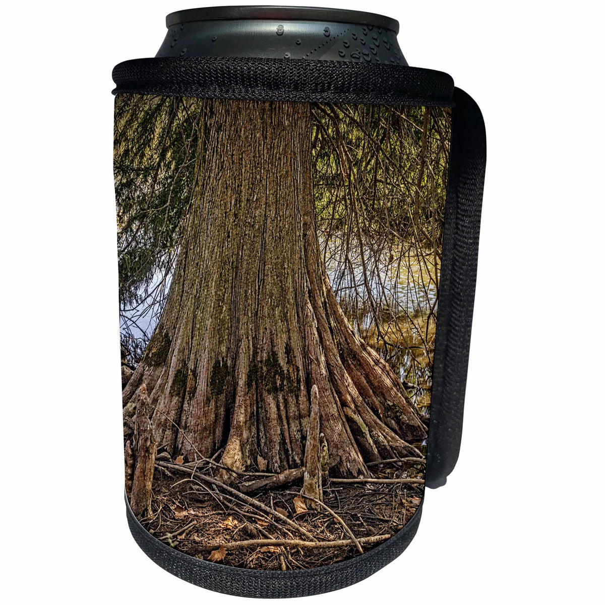 3dRose Boehm Photography Landscape - Large Cypress Tree and Roots - Can Cooler Bottle Wrap (cc_253224)