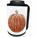 3dRose Boehm Graphics Autumn - Mottled Orange Pumpkin - Can Cooler Bottle Wrap (cc_253233)