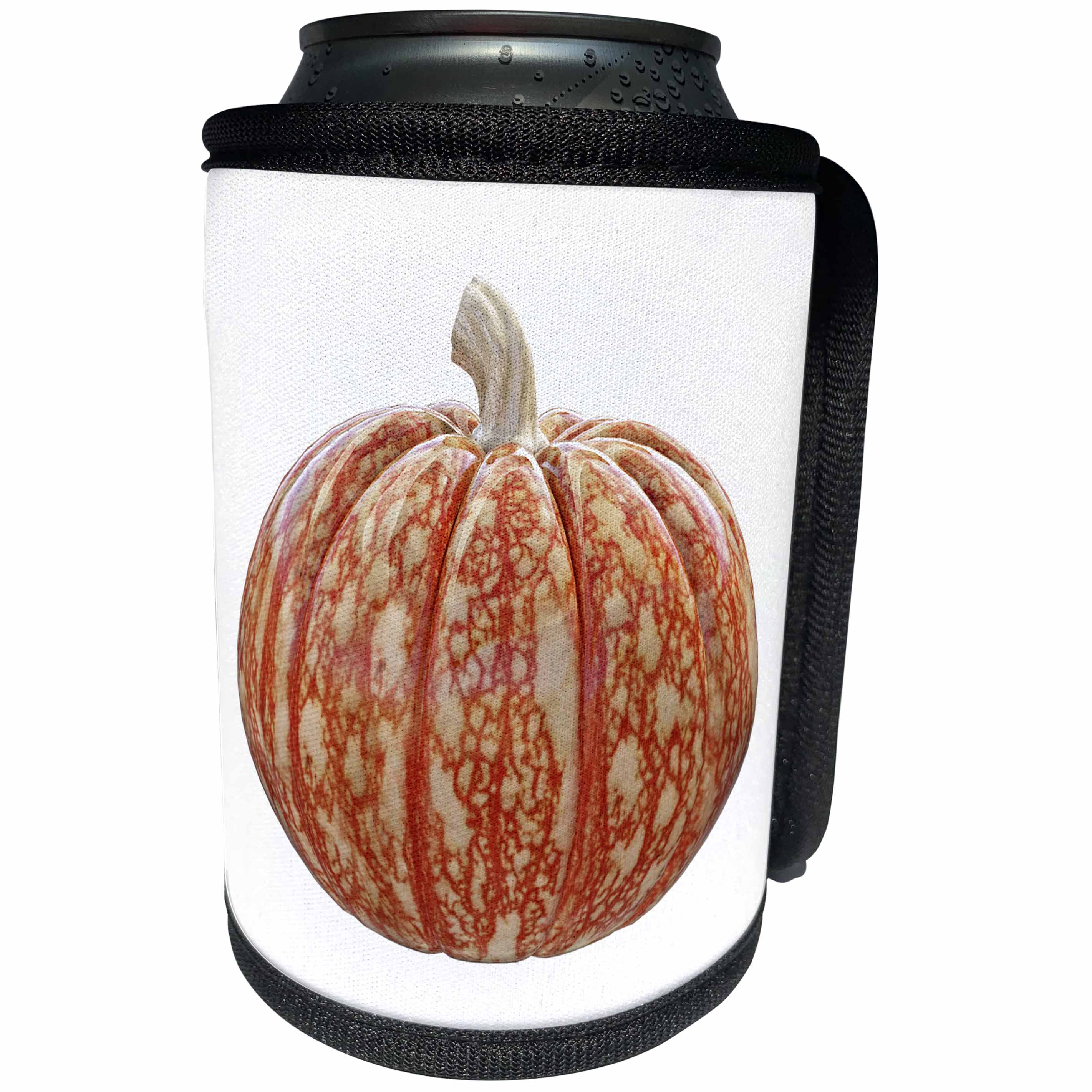3dRose Boehm Graphics Autumn - Mottled Orange Pumpkin - Can Cooler Bottle Wrap (cc_253233)