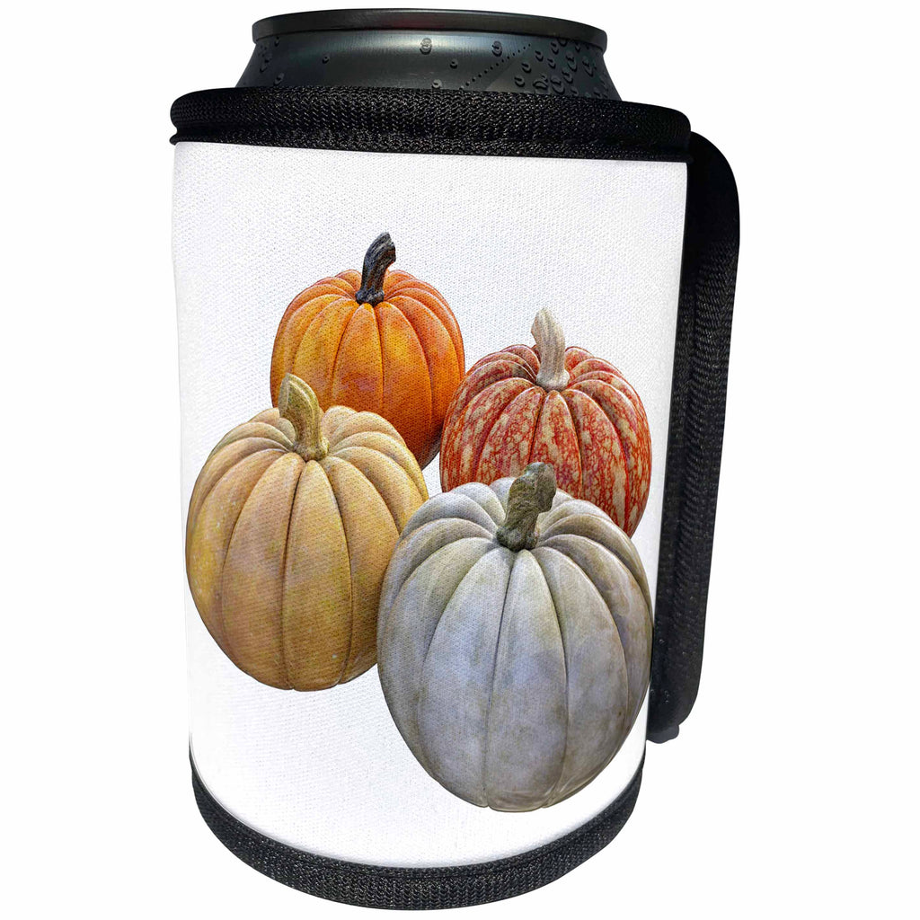 3dRose Boehm Graphics Autumn - Pumpkin Group Variety - Can Cooler Bottle Wrap (cc_253234)