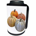 3dRose Boehm Graphics Autumn - Pumpkin Group Variety - Can Cooler Bottle Wrap (cc_253234)