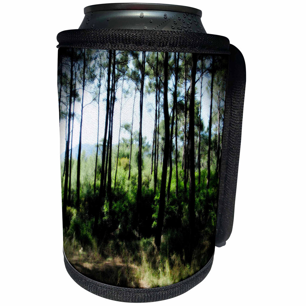 3dRose Taiche - Photography - Trees - Pine Forest Edge - Can Cooler Bottle Wrap (cc_253296)
