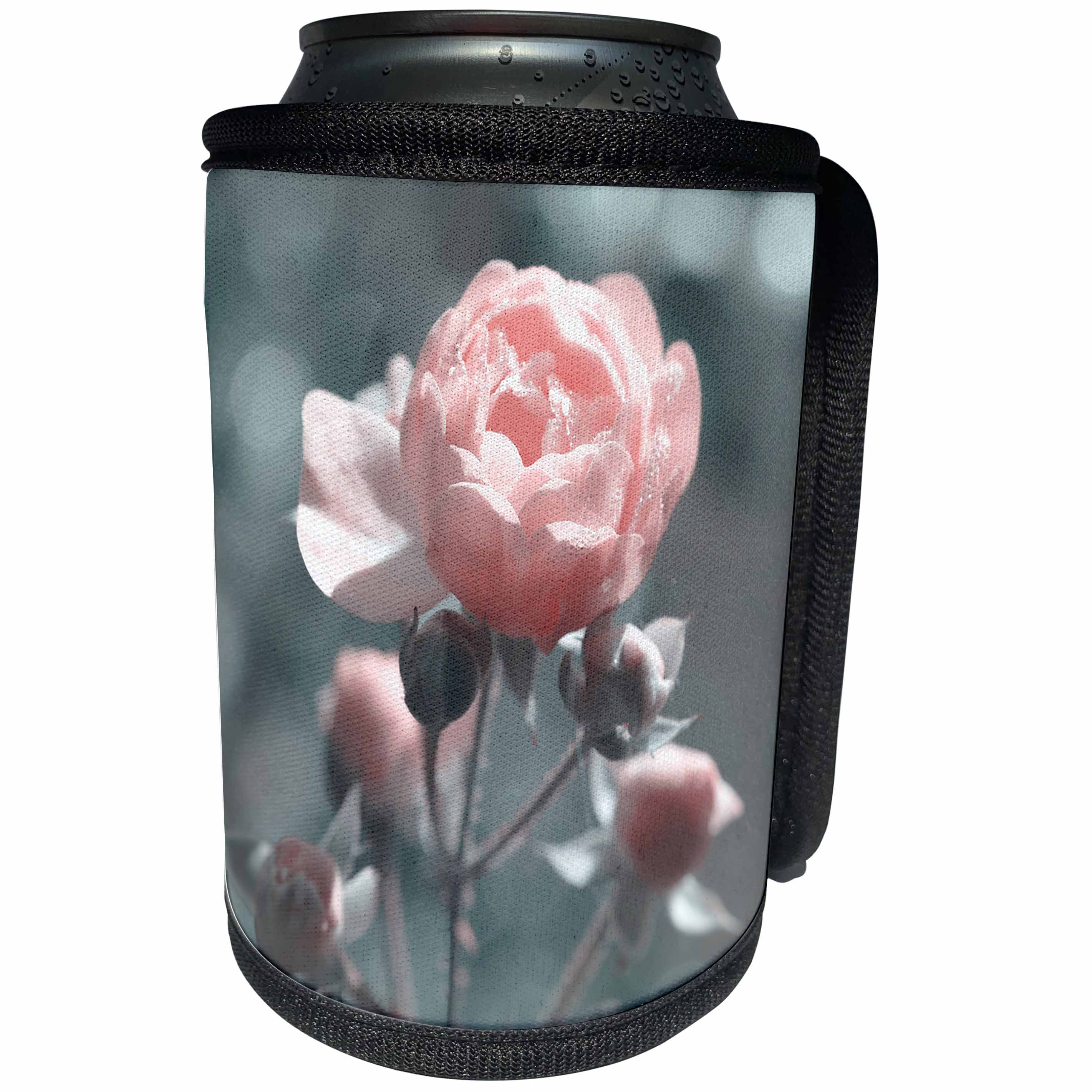 3dRose Uta Naumann Photography Flowers - Pink Vintage Rose in Silver Light - Can Cooler Bottle Wrap (cc_253343)