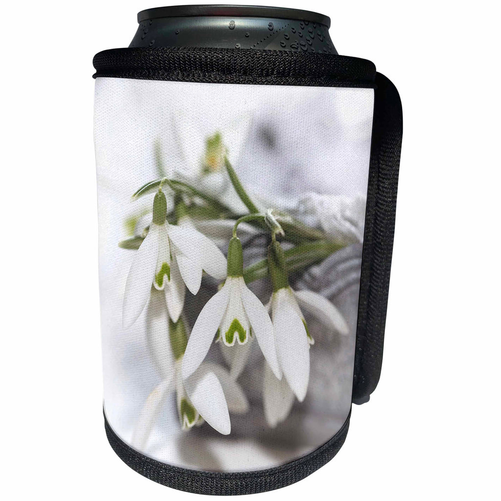 3dRose Uta Naumann Photography Flowers - Snowdrops Spring flowers in a Silver Bowl - Can Cooler Bottle Wrap (cc_253371)
