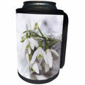 3dRose Uta Naumann Photography Flowers - Snowdrops Spring flowers in a Silver Bowl - Can Cooler Bottle Wrap (cc_253371)
