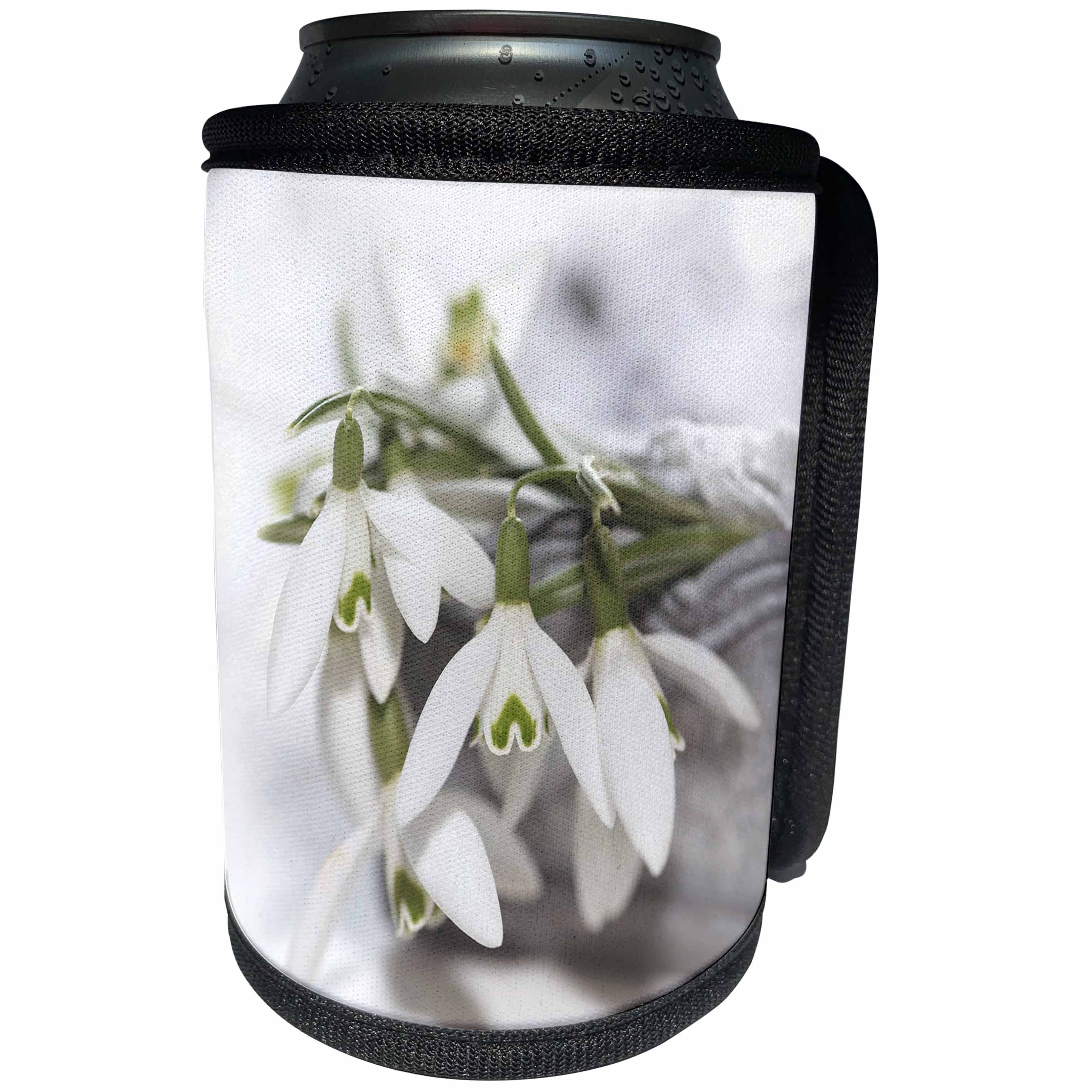3dRose Uta Naumann Photography Flowers - Snowdrops Spring flowers in a Silver Bowl - Can Cooler Bottle Wrap (cc_253371)