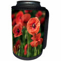 3dRose Uta Naumann Photography Flowers - Red Poppy Flowers in Meadow - Can Cooler Bottle Wrap (cc_253374)